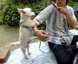 seezer