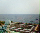 2e6a7c59.jpg