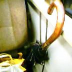 20031231_1654_000.jpg