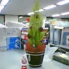 20031123_2009_000.jpg