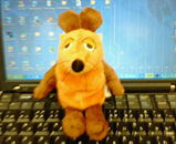 200504061519000.jpg
