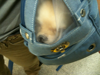 image-20100923214046.png