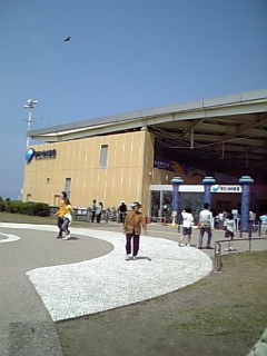 070505_100508.jpg