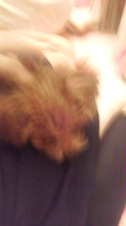 20080416202229.jpg