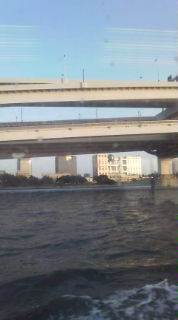20080506175854.jpg