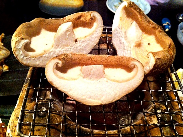 デカデカしいたけ at 魚山亭 新寮