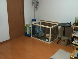 image-20100379175114.png
