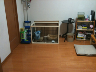 image-20100379175148.png