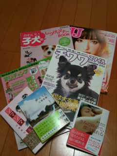 image-20100388013553.png