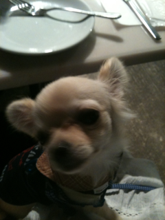 image-20100610224213.png