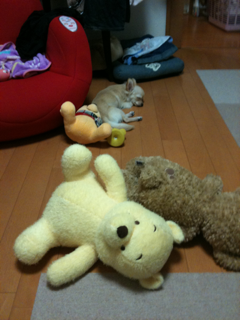 image-20100813043059.png