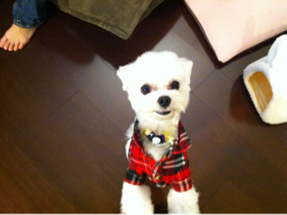 image-20101012014339.png