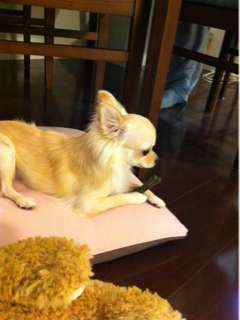 image-20101029021454.png