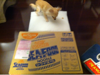 image-20101112211651.png