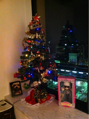 image-20101128033432.png