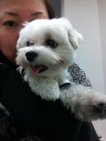 image-20101205042613.png