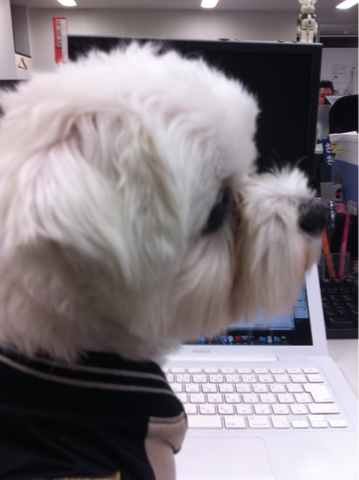 image-20101205042632.png