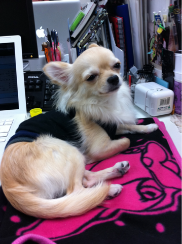 image-20101227211147.png