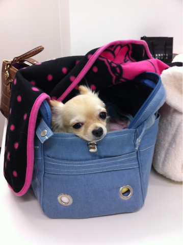 image-20101227211208.png