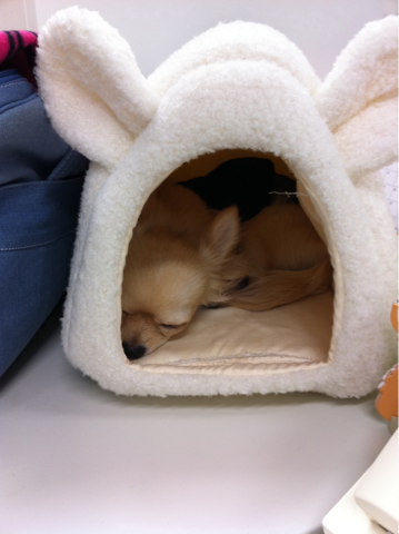 image-20101227212006.png