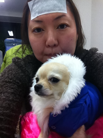 image-20110216210836.png
