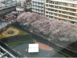 image-20110409172206.png