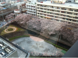 image-20110409172246.png