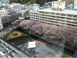 image-20110409172337.png