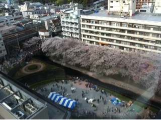 image-20110410140628.png
