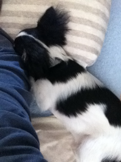 image-20110530122254.png