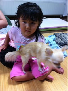 image-20110717070514.png