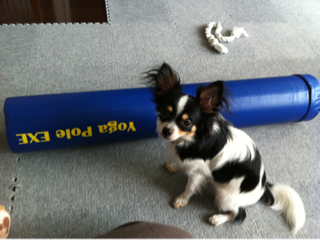 image-20110725192235.png