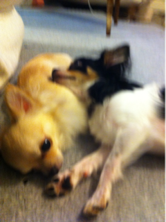 image-20110727200006.png