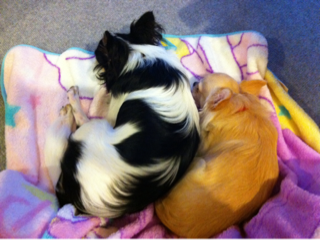 image-20110817170843.png