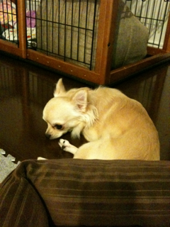 image-20110817234946.png