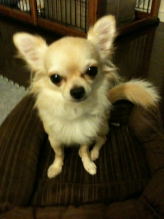 image-20110817235005.png