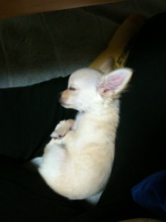 image-20110817235220.png