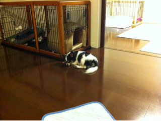 image-20110830010911.png