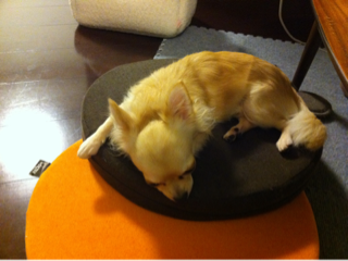 image-20110830010939.png