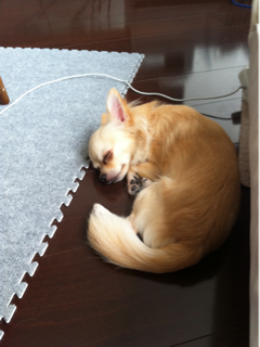 image-20110903134658.png