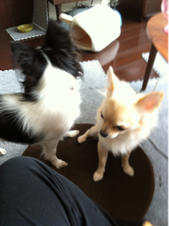 image-20111021181221.png