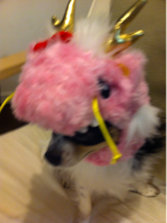 image-20120101011628.png
