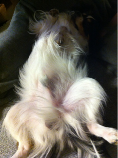 image-20120314031553.png