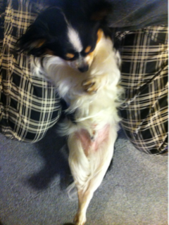 image-20120314032300.png