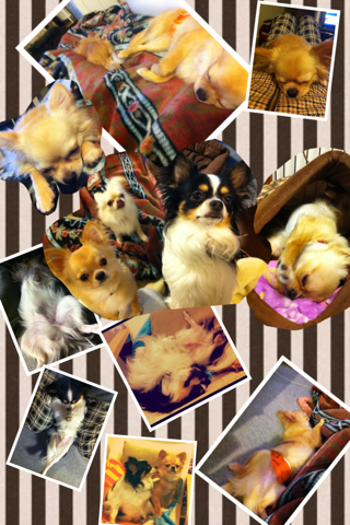 image-20120319022344.png