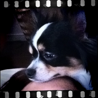 image-20120330202934.png