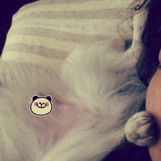 image-20120330202952.png