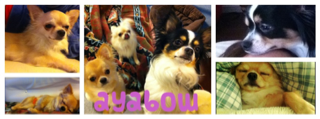 image-20120403081614.png