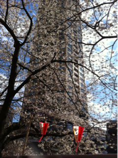 image-20120415005827.png