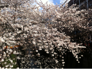 image-20120415005913.png